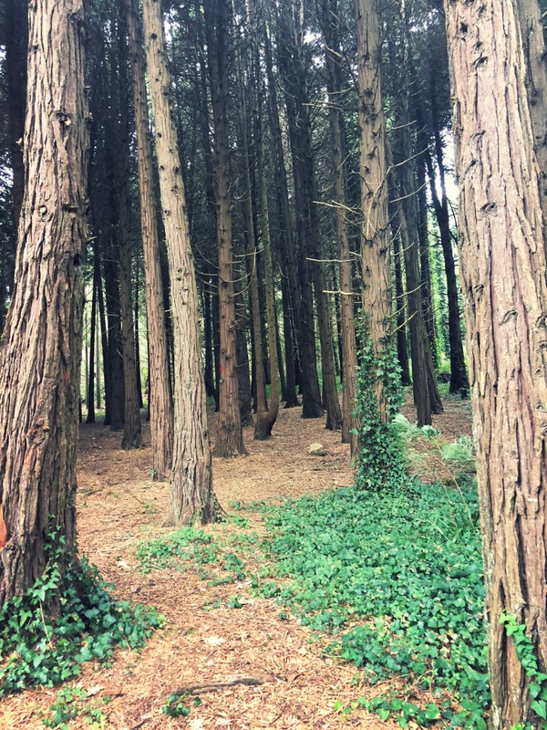 Синтра, Атлантика и мыс Рока