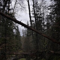 Фото отзыва 1: экскурсия "Из Уфы — к скалам Зубы Шурале"