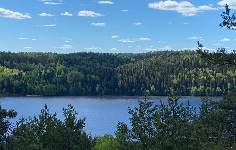 Карельский зоопарк и прогулка с видом на залив Кирьявалахти