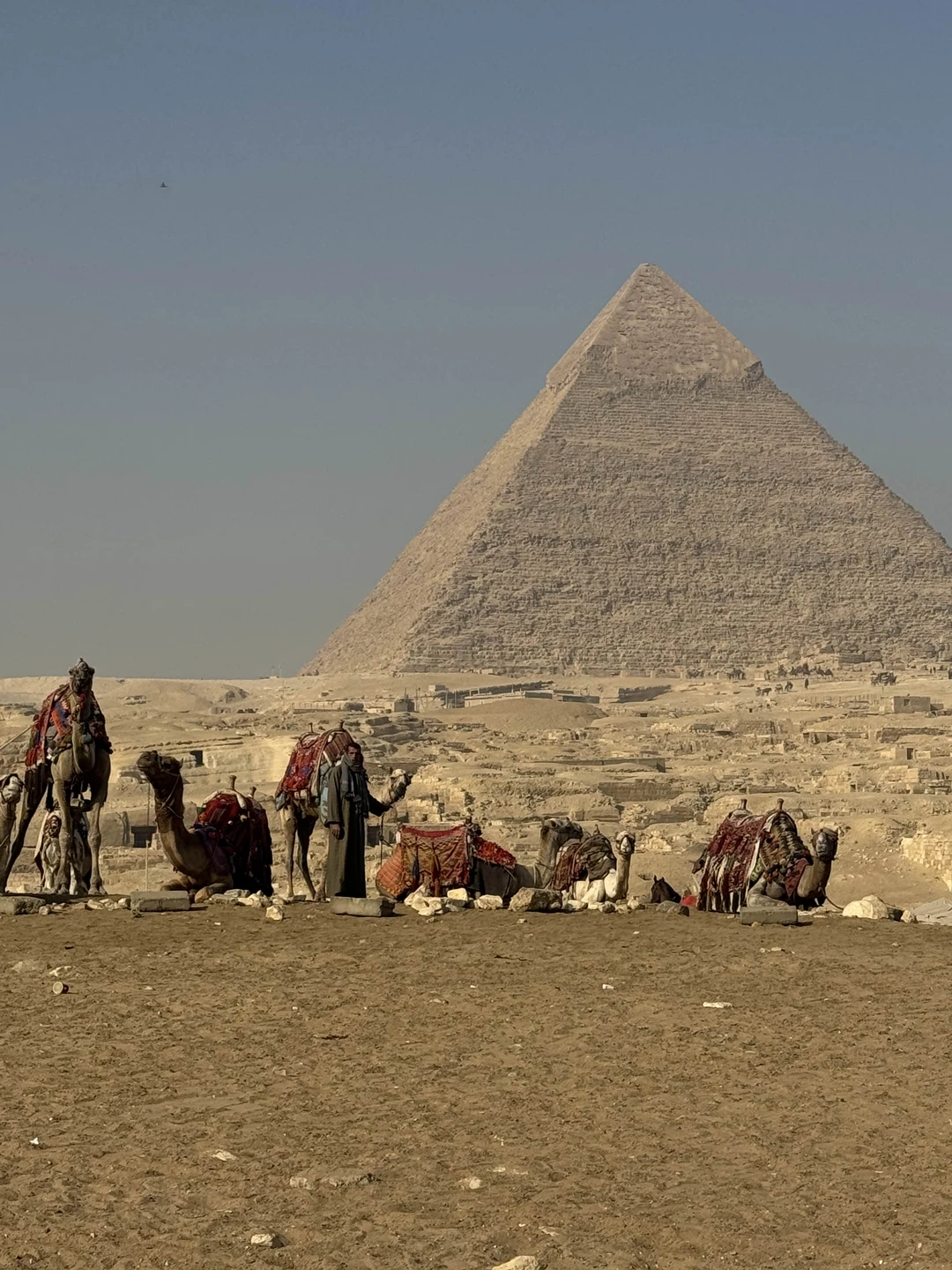 Ездили на 2 экскурсии с этими организаторами. Оба раза очень удачно. Гиды с отличным русским языком, все четко организовано. Спасибо!