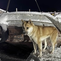 Фото отзыва 2: экскурсия "Териберка: дыхание Ледовитого океана"