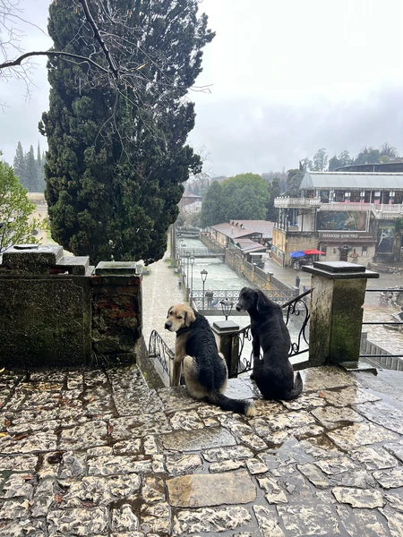 Впервые побывали в Абхазии, спасибо гиду Гамлету за интересную экскурсию, было много информации про историю Абхазию