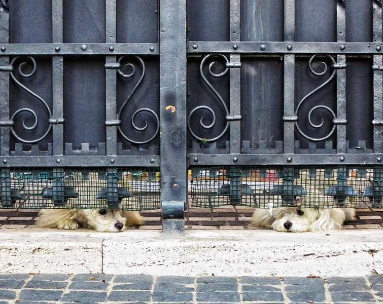 Римский модерн