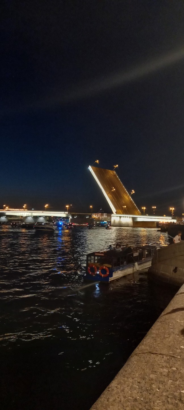 Автобусная экскурсия по ночному Петербургу + разведение мостов (ЕленаБасаева)