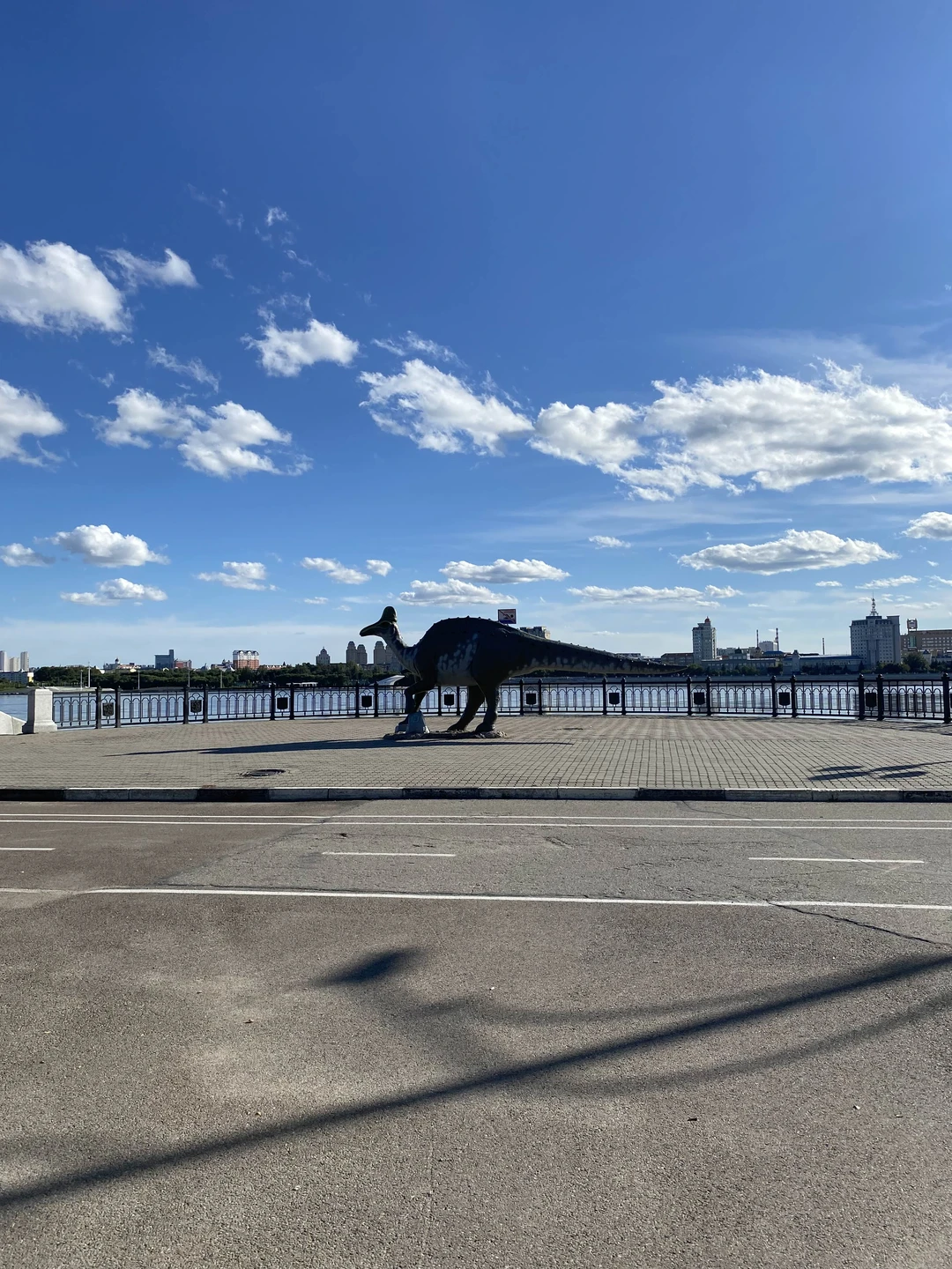 Замечательная экскурсия, рассказывающая об истории города, истории Амурского края. Сергей - прекрасный человек, глубоко знающий родной