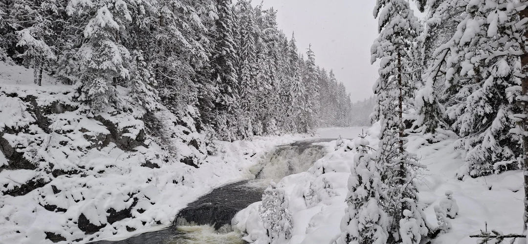 Прекрасные впечатления от тура! Потрясающей красоты природа, отличная организация нашего небольшого путешествия! Огромное спасибо организатору тура