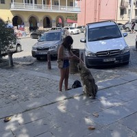reviews img