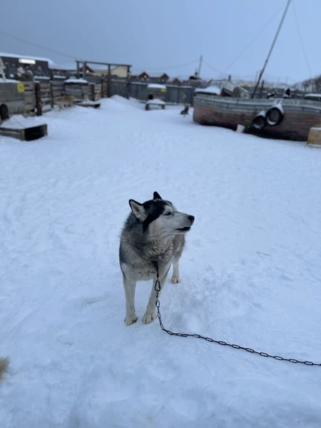 Териберка: дыхание Ледовитого океана (Мария)