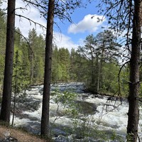 Фото отзыва 2: экскурсия "Другой Кольский: едем на Кандалакшский залив"