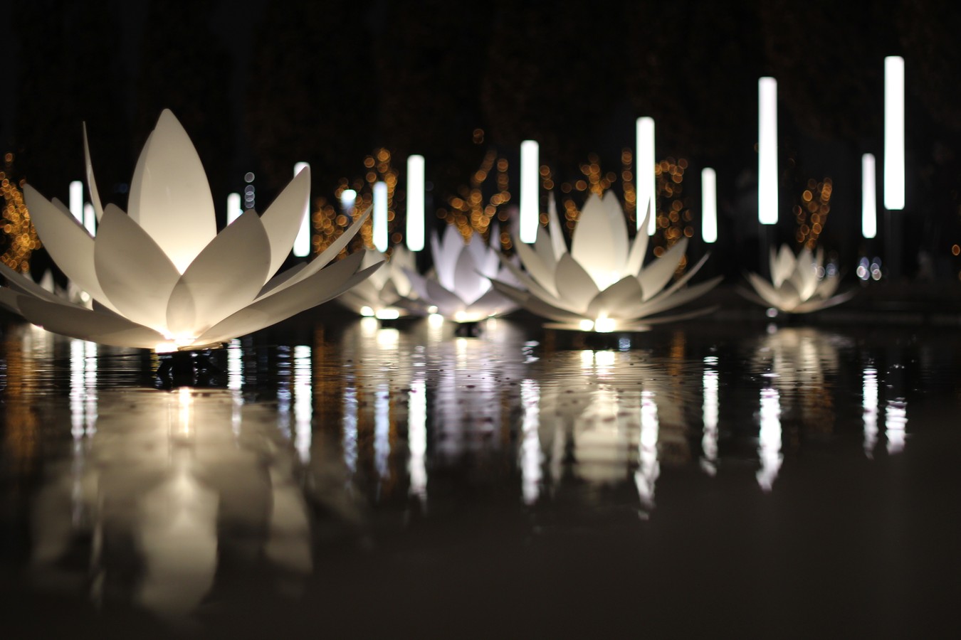 Парк «Краснодар»: здесь могло быть снято ваше кино!