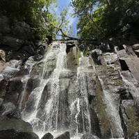 Фото отзыва 3: экскурсия "Приморский сафари-парк, водопады, бухты и мысы"