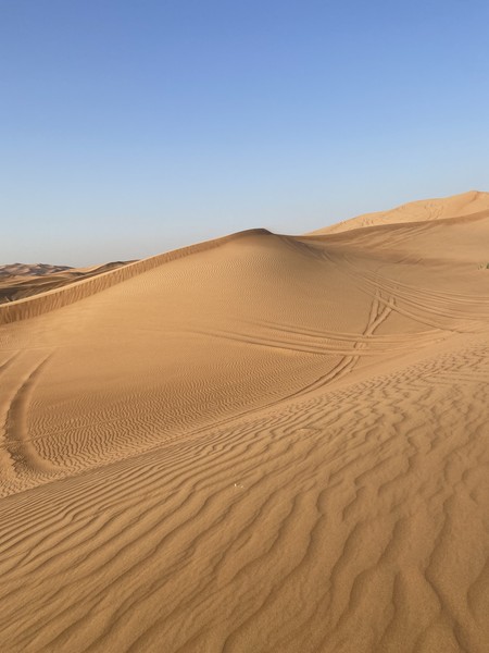 Сафари в Дубае: магия заката в пустыне без кемпов и шоу-программ (Ольга)