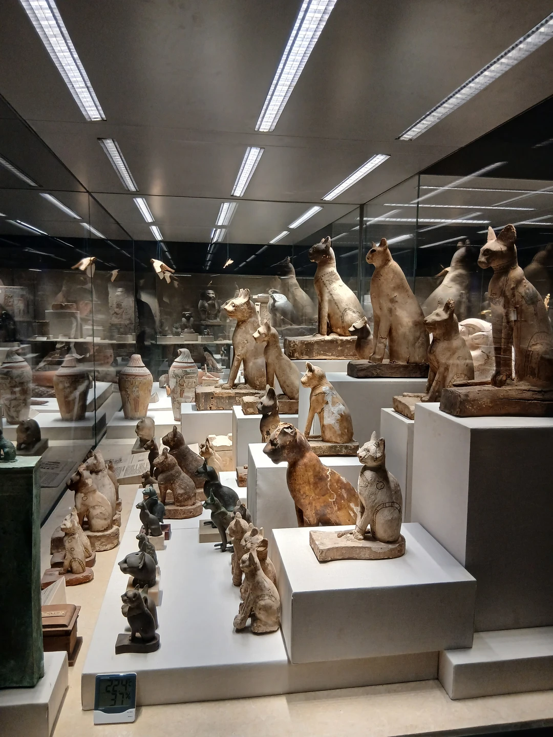 Замечательная экскурсия! Гид Богдади свободно говорит на русском языке, чувствуется глубокое знание истории Египта, рассказ был