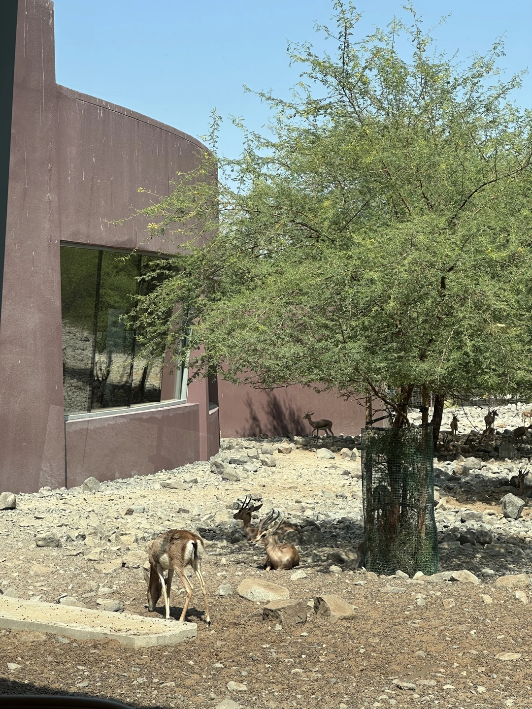 Великолепная поездка, маршрут, места, истории, а главное - гид! Две поездки подряд в разные места доверили