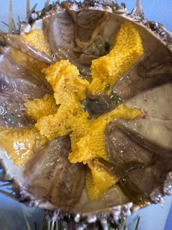 Виды Невероятная Териберка: увидеть и попробовать