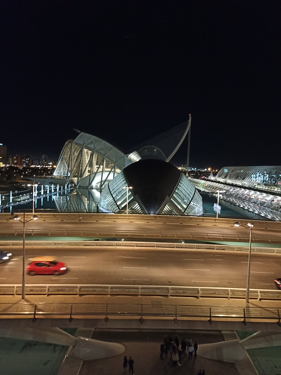 Город искусств и наук: мистика творений Сантьяго Калатравы (Светлана)