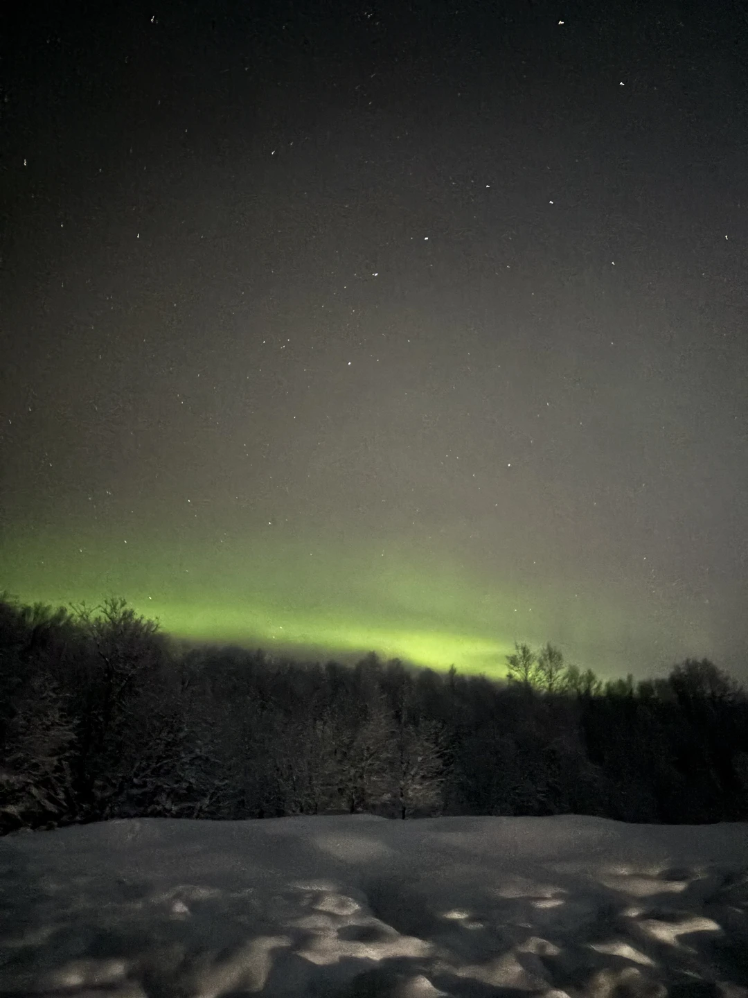 В погоню за полярным сиянием (Гулзада)