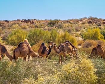 Деревня Нохур