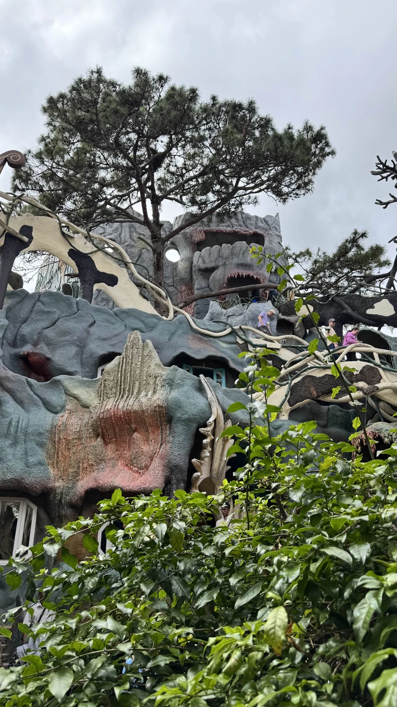 Далат на максимум (из Нячанга) (Юлия)