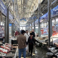 Фото отзыва 2: экскурсия "От рыбацкого посёлка до туристического курорта: обзорная экскурсия по Хургаде"