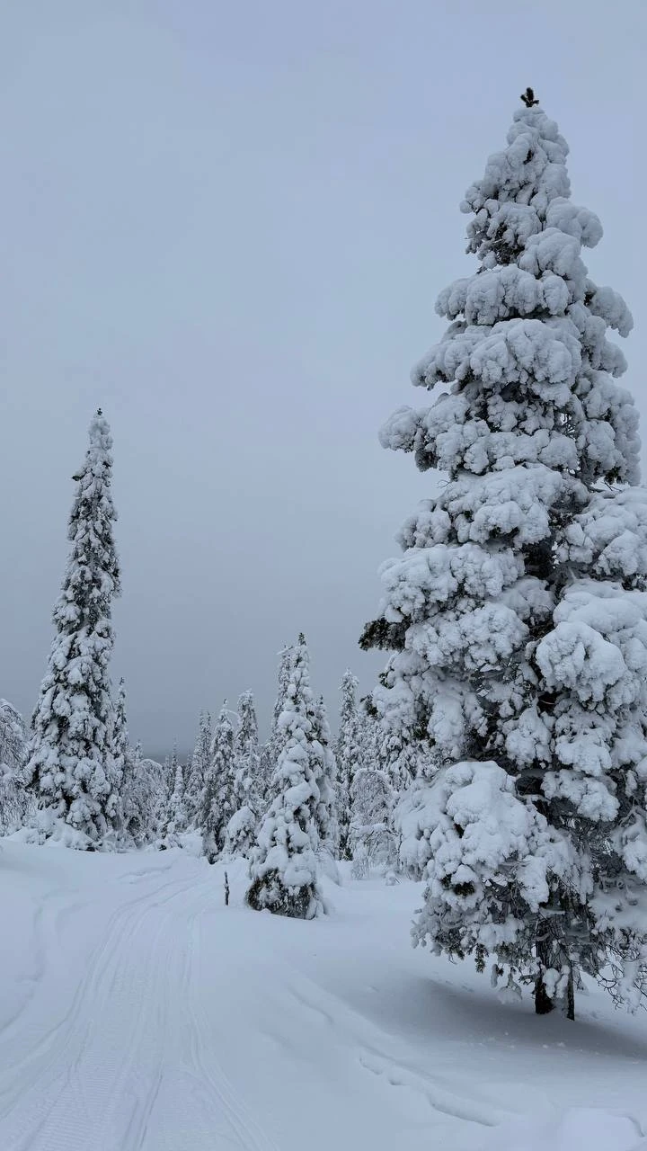 Хочется сказать огромное спасибо за тур Артему и Роману — все было сделано с душой и