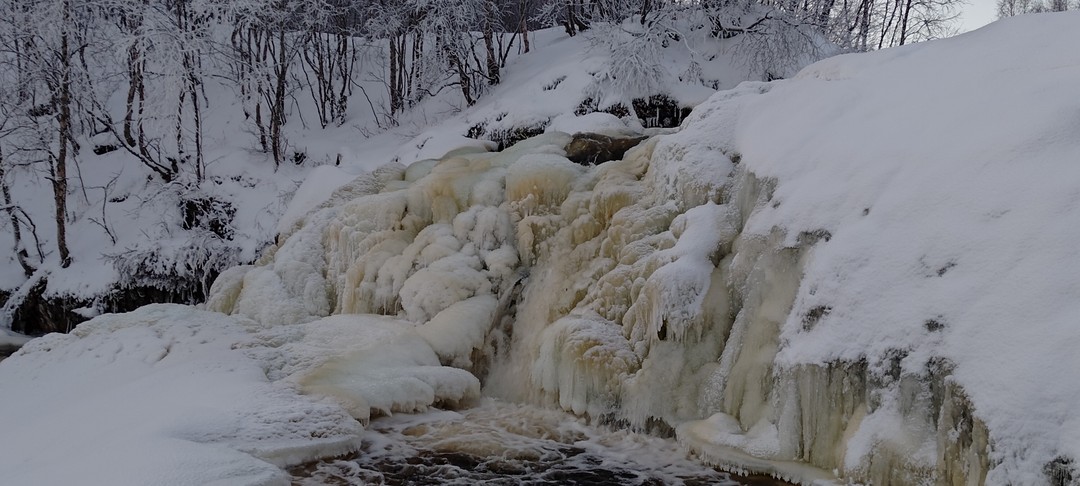 Веселые шутки, красивые места, лёгкие и живописные маршруты. Все экскурсия проходила спокойно без спешки.