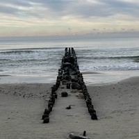 Фото отзыва 1: экскурсия "Утренняя Куршская коса, Зеленоградск и замок Нессельбек на автобусе"