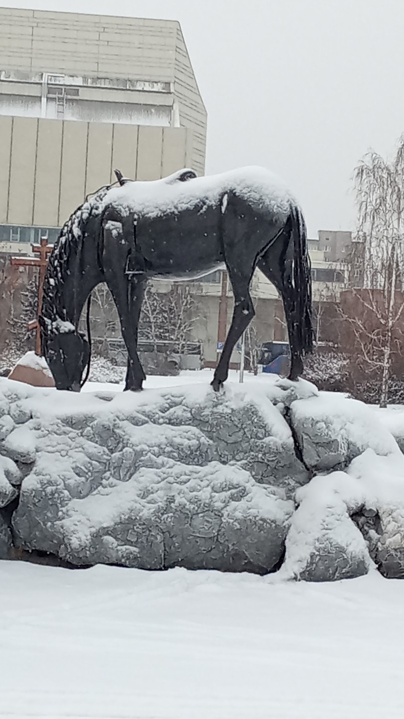 Влюбиться в Красноярск за два часа (Александр)
