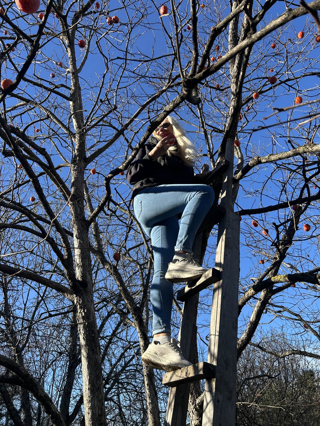 Непродолжительная, но очень увлекательная экскурсия