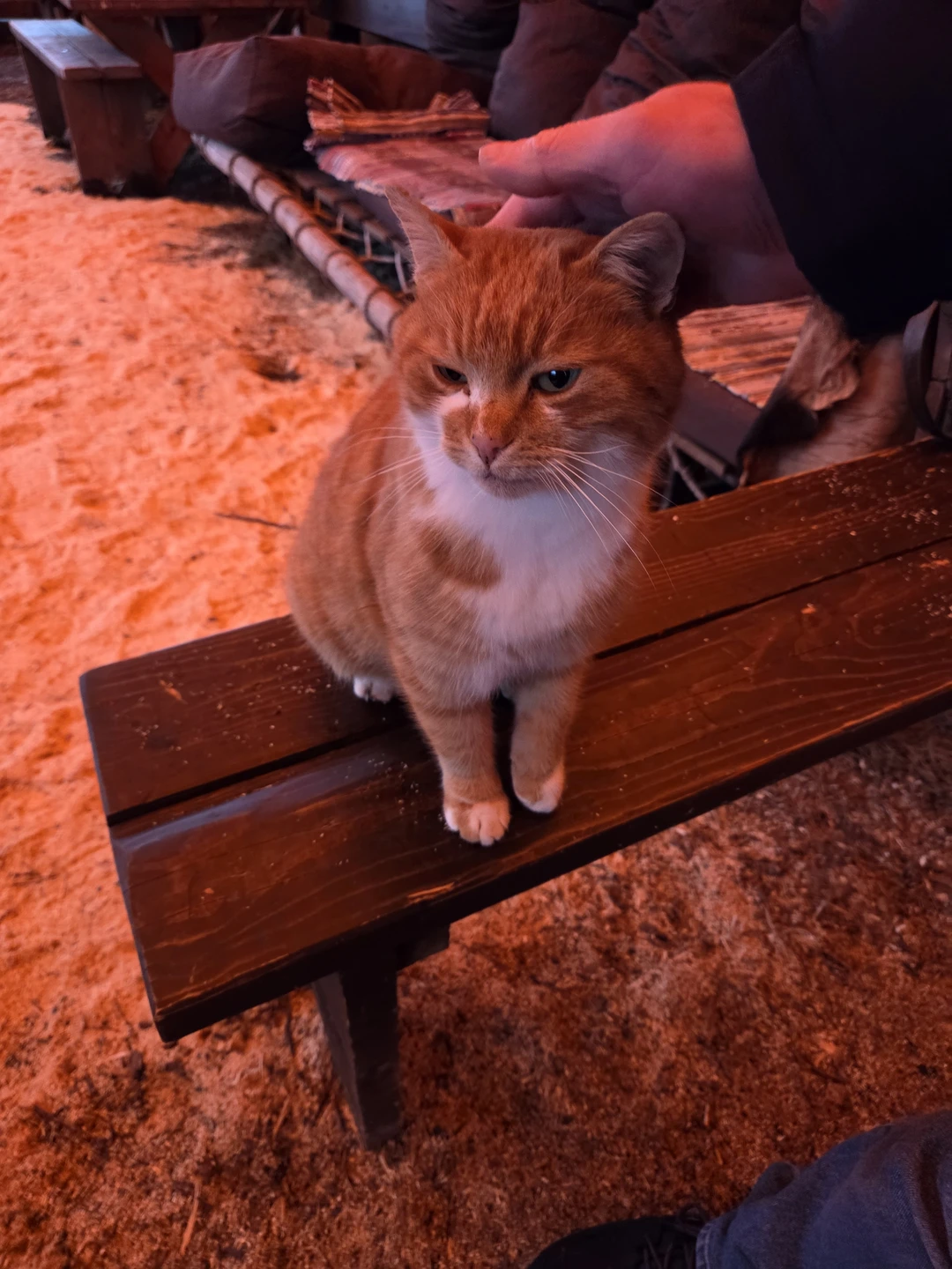 Спасибо огромное за чудесный день, проведённый в вашем парке! Рекомендуем всем, кто живёт в городе. Девочки