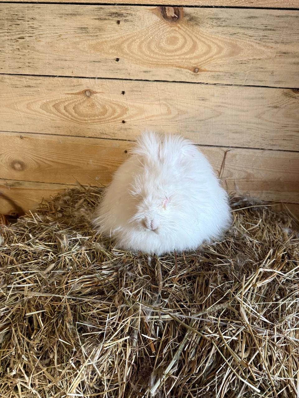 Мастер-класс рекомендуем всем! Оксана - влюбленный в свое дело человек и увлекает им всех без исключения