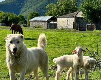 Кутаиси: Багратский собор, Гелатский монастырь, пещера Прометея