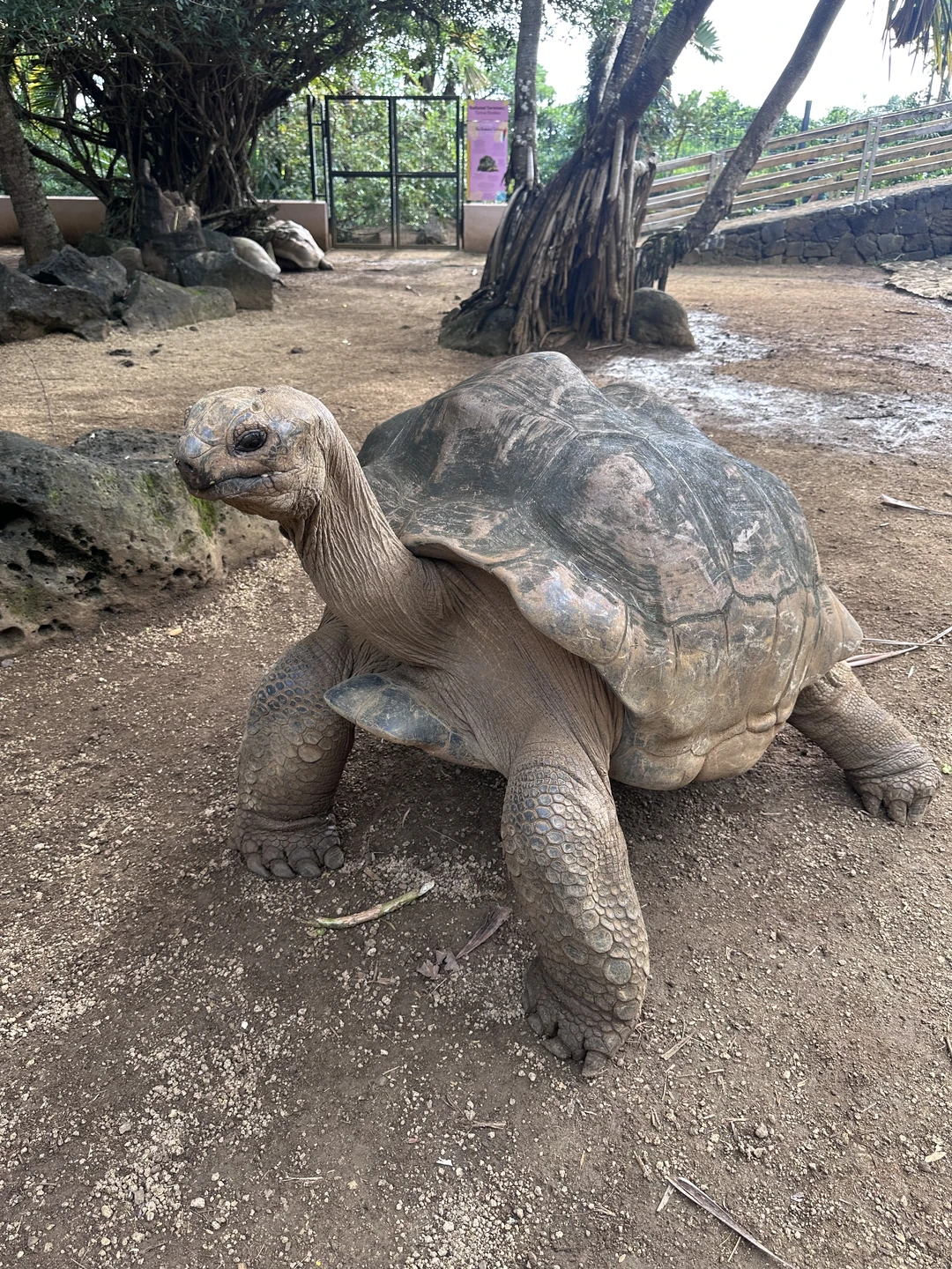 Хотим сказать огромное спасибо Ольге за экскурсию! Она прошла на одном дыхании, было очень интересно, познавательно