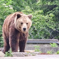 Фото отзыва 2: экскурсия "Семейная прогулка по Калининграду"