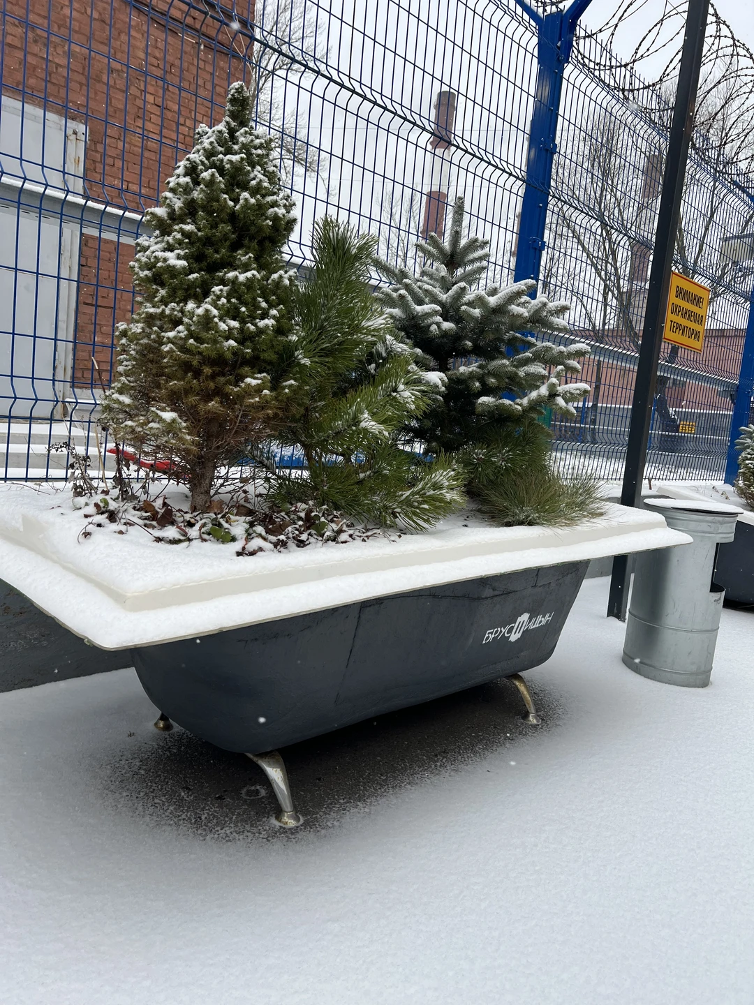 Посетили экскурсию1 января в 13.00)))