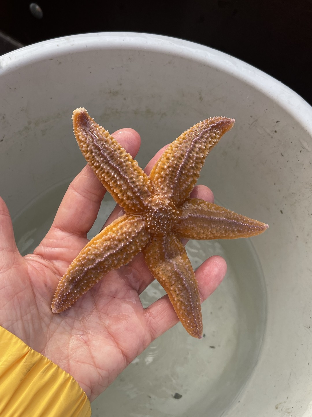 Путешествие закончилось и теперь можно эмоции трансформировать в слова и слова составить в предложения благодарности за