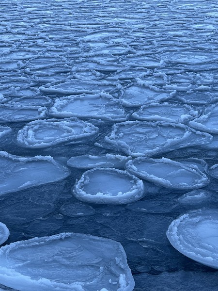 Очень долго думали, стоит ли брать экскурсию на русский остров, и не пожалели, что взяли! Мыс