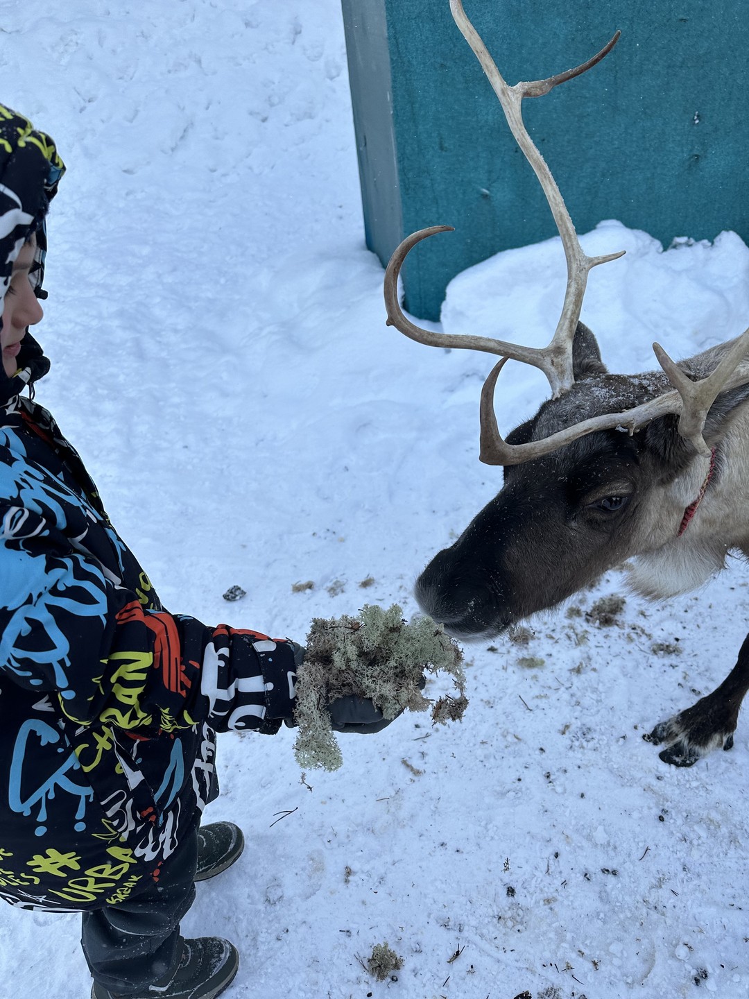 Фото отзыва 6: экскурсия "Каникулы в Хибинах + этническая деревня саами"