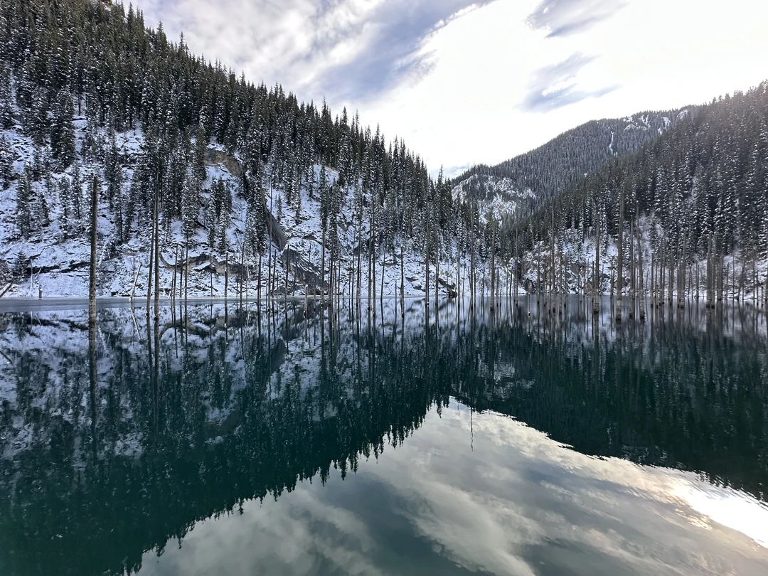 Добрый день! Нам понравилось, хотелось бы отметить организацию от и до. В чате сразу было много