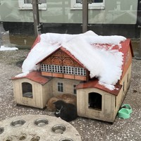 Фото отзыва 1: экскурсия "Авторское фотопутешествие по Куршской косе и Зеленоградску"