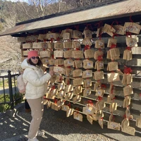 Фото отзыва 3: экскурсия "Тихие храмы и шумные кварталы Осаки"