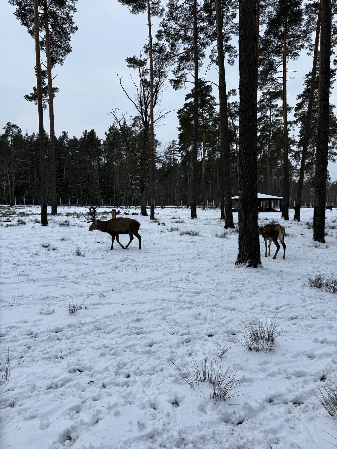 Очень понравилась экскурсия, рекомендуем. Комфортный трансфер, все отлично организовано, в комфортном ритме. Рекомендуем!
