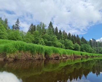 Дикая и умиротворяющая Тверца