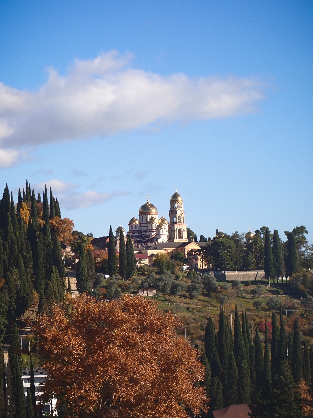 Очень все понравилось! Хороший маршрут, и природу посмотрели и города, проехали почти всю Абхазию. Очень содержательные