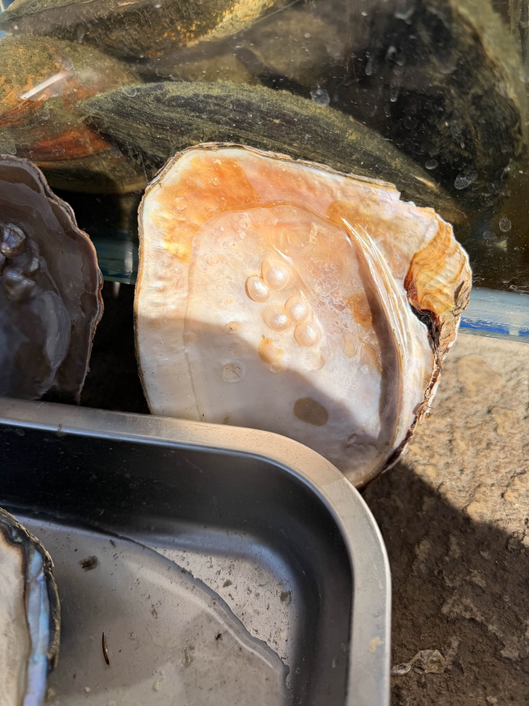 Гид очень понравилась нам, очень интересно провела экскурсию. Очень милая девушка))) Спасибо огромное🙌🥰