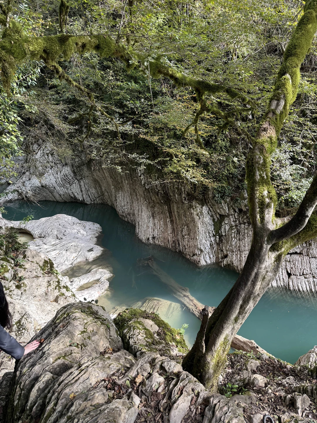 Замечательный тур и блестящий гид!
