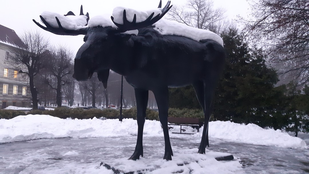 Советск и Неман: православные святыни и немецкое зодчество (Юлия)