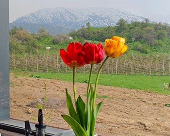 Чимганские горы и курорт «Амирсой»
