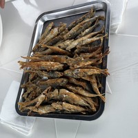 Фото отзыва 2: экскурсия "Адлер: морская рыбалка, обед из улова и купание в Чёрном море"
