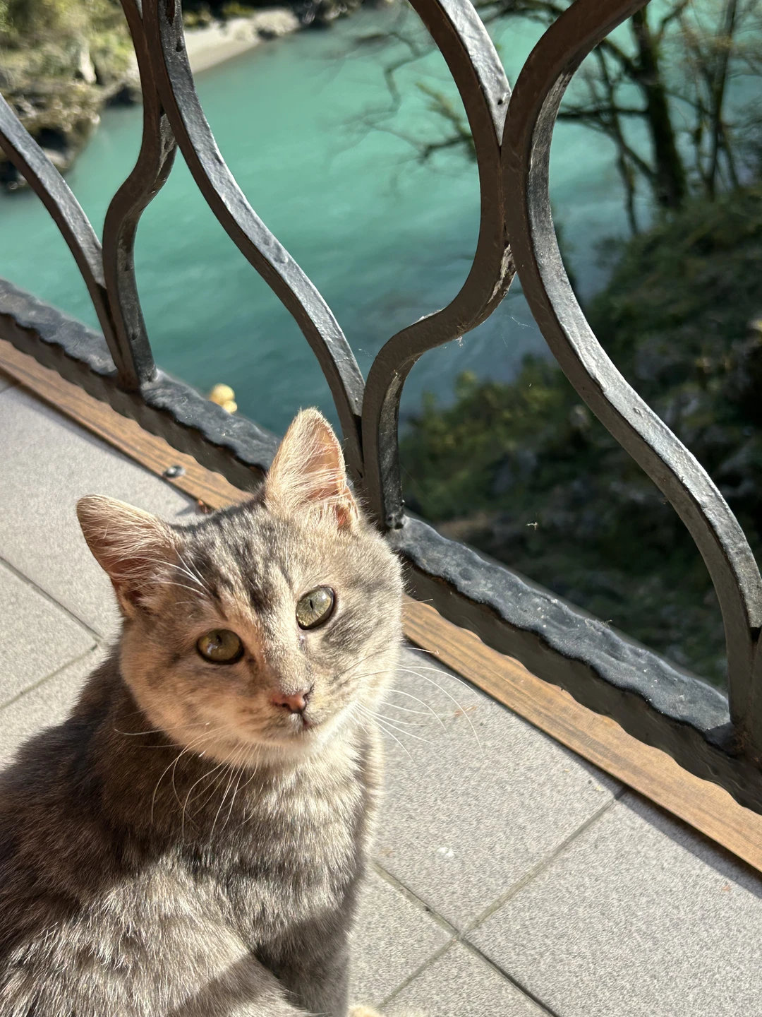 Путешествие действительно оказалось незабываемым. Причем цепляла ни сколько красивая природа и пейзажи, сколько сам гид, компания